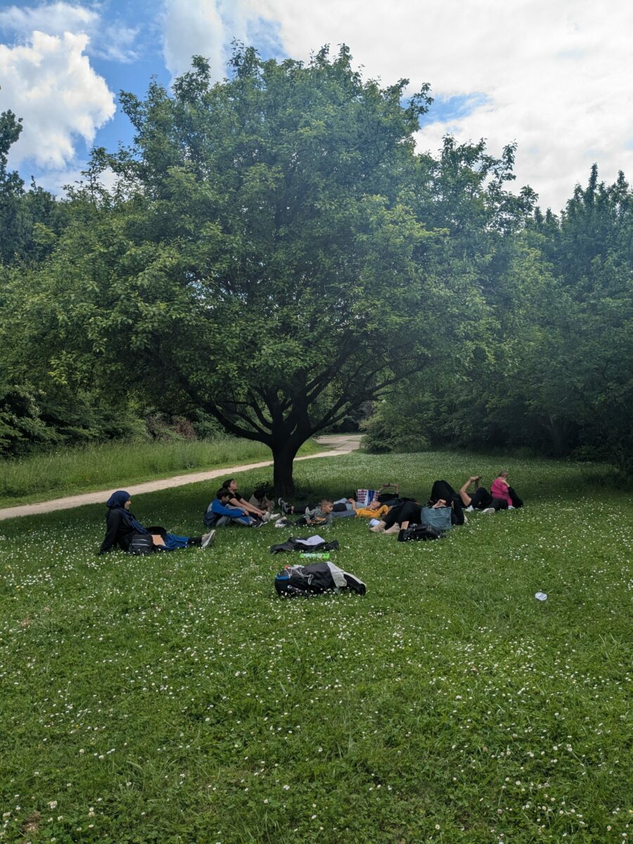 Balade au parc de l’Ermitage guidée par Félicie Legrand sur le parcours de la Nuit Verte