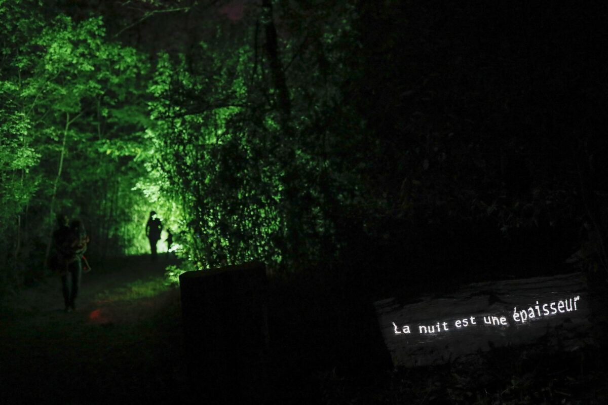 un bois de nuit un texte la nuit est une épaisseur